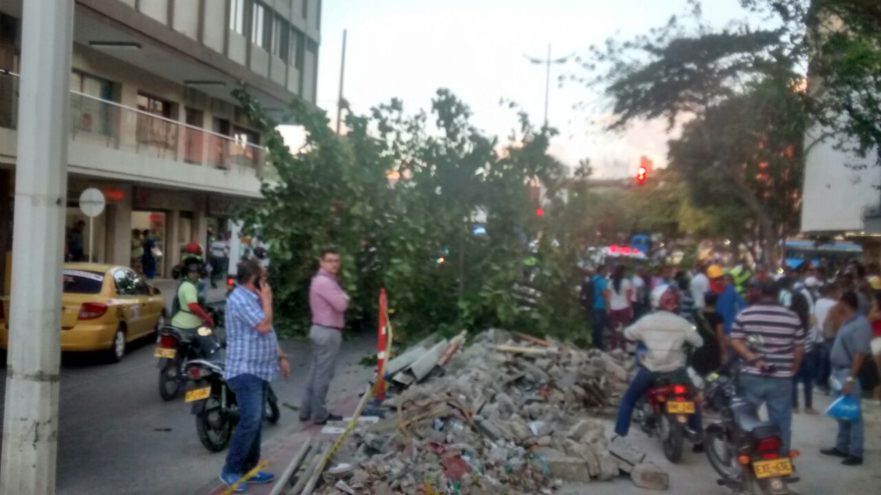 El pesado árbol cayó sobre la carrera quinta, en plena obra en construcción.