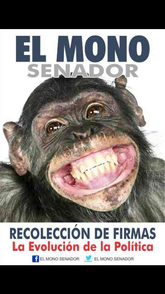 Cortesía. Publicidad de la campaña de El Mono.