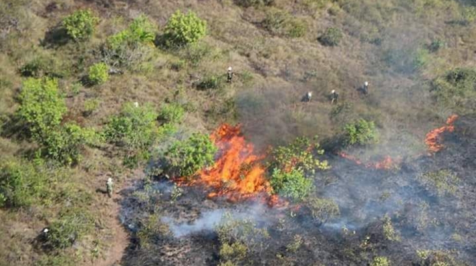 La Fuerza Aérea, el Ejército, la Defensa Civil, 106 bomberos y dos pelotones del batallón de riesgos trabajan para controlar el incendio. 