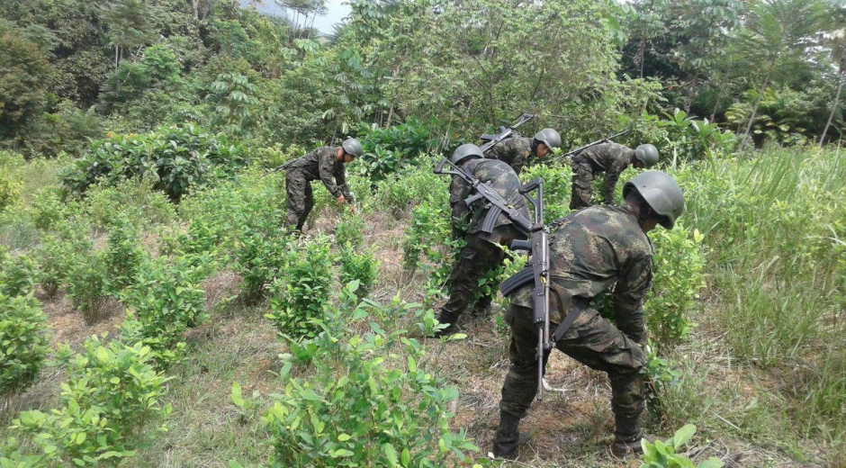 Foto: Ejército. Hombres del Ejército durante la jornada de hectáreas de cultivos ilícitos.