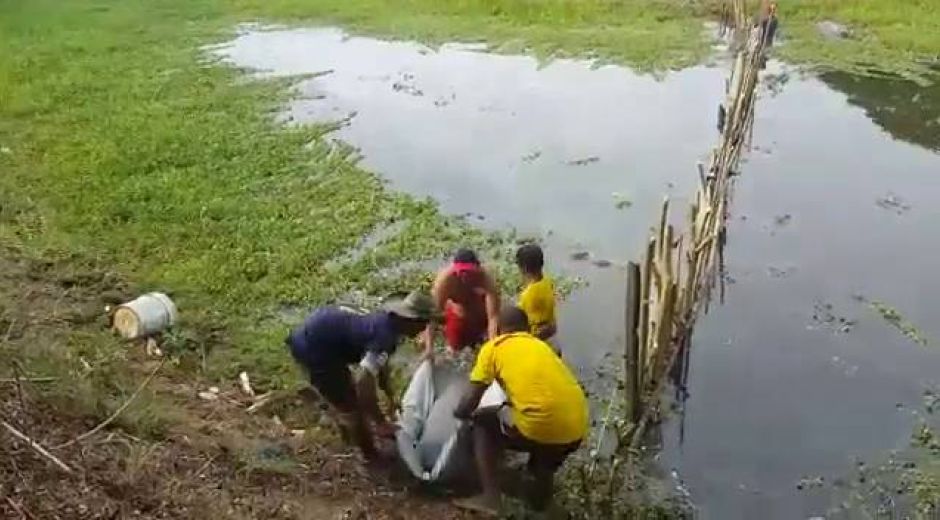 Foto: Wilder Álvarez. Pescadores de la Ciénaga de Chilloa encontraron el cuerpo.