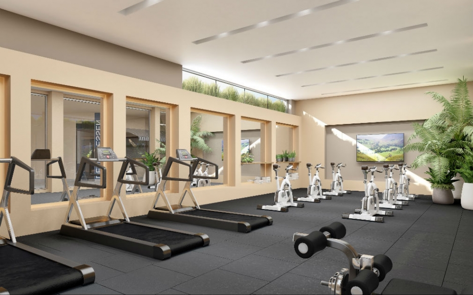 Palo Alto Gimnasio