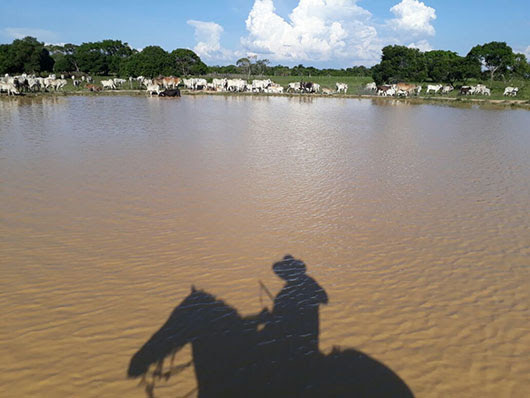 Zona de los llanos colombianos.