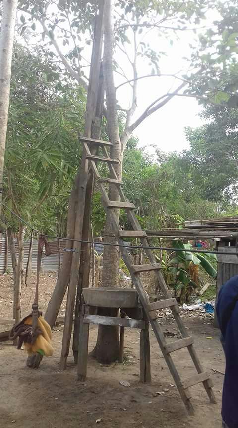 Esta fue la escalera que utilizó el hombre para quitarse la vida en el patio de su casa.