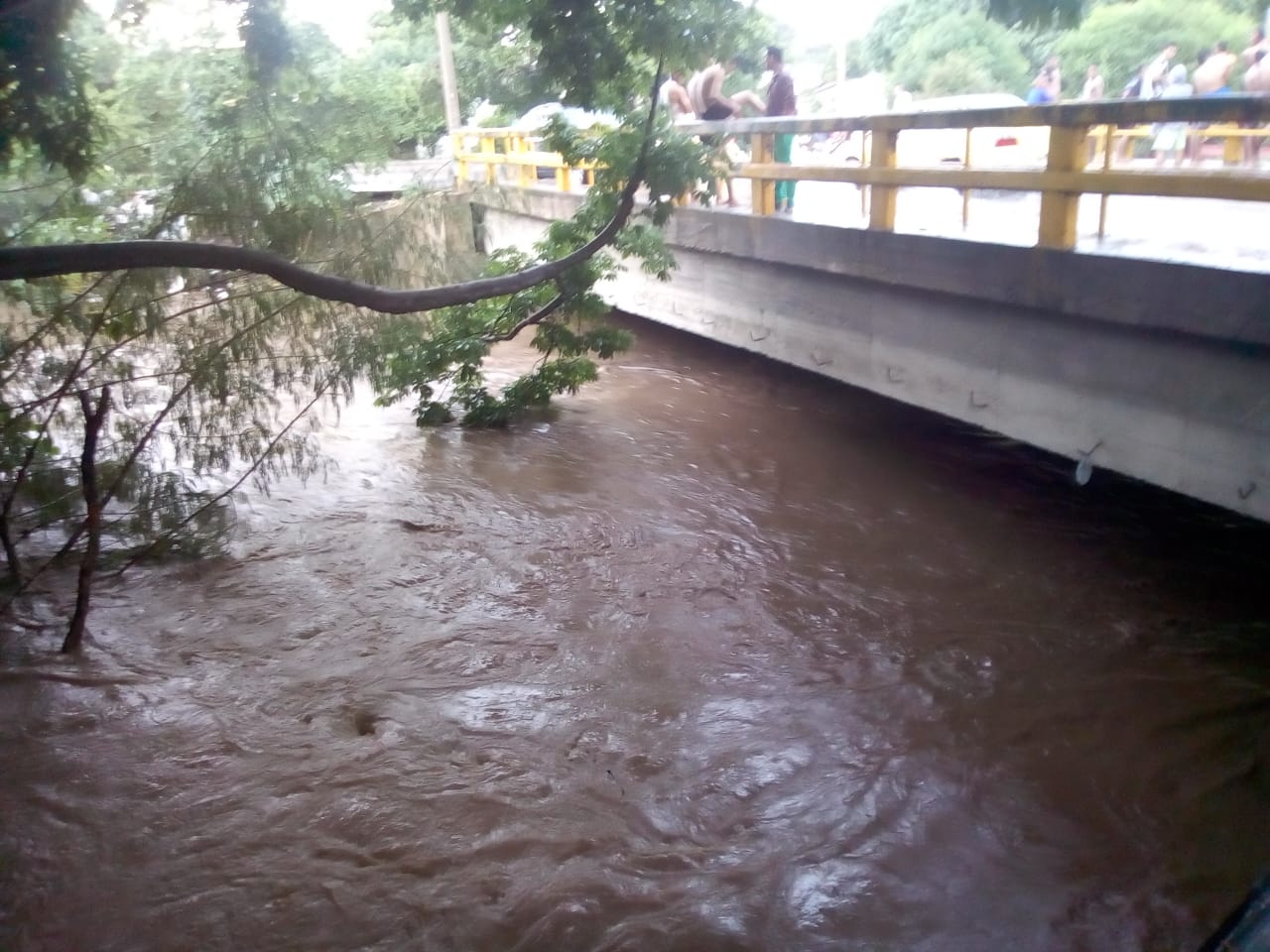 Río Manzanares a la altura del popular puente de la Platina.