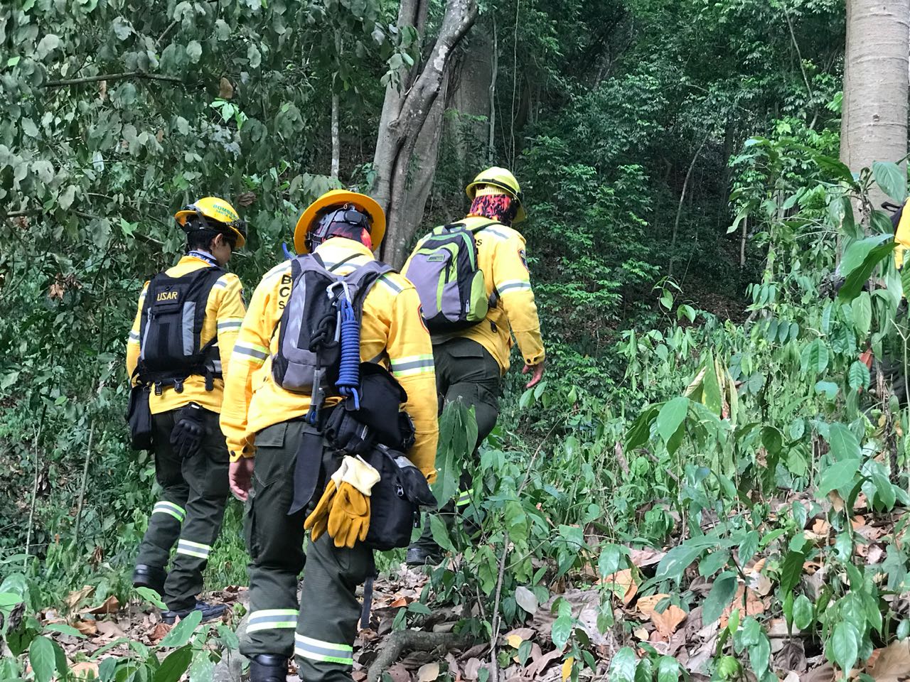 Bomberos en el lugar. 