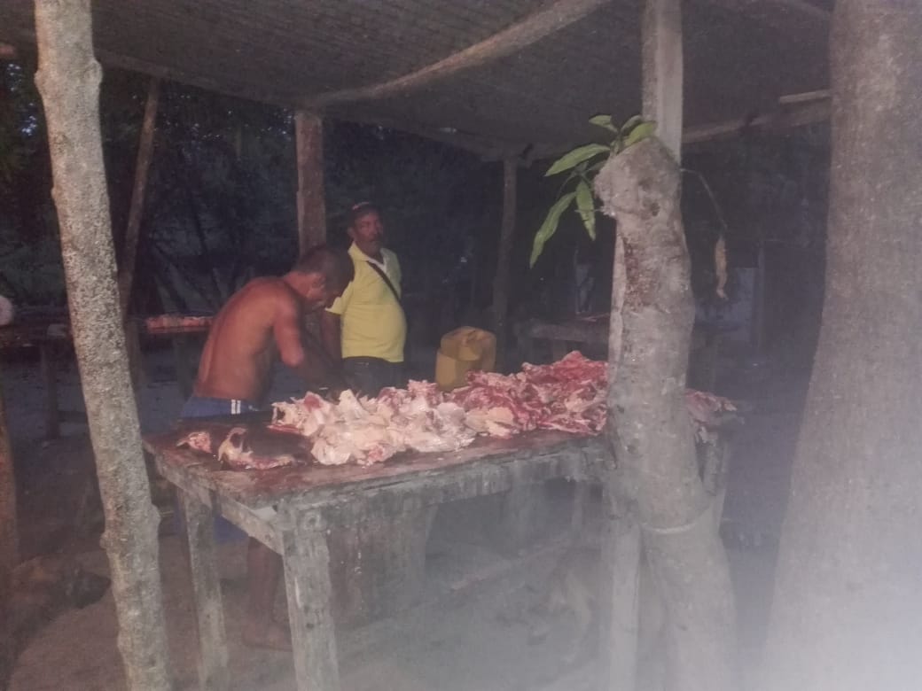 Matadero ilegal desmantelado en Algarrobo.