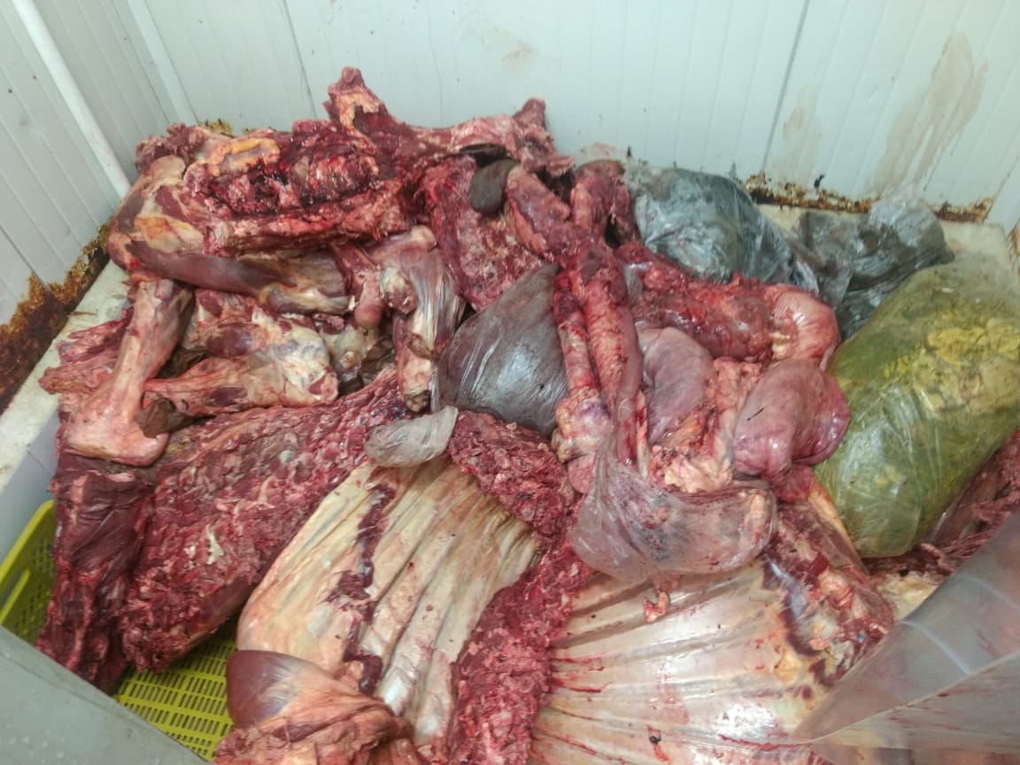 Carne decomisada en Fundación, no apta para el consumo humano.