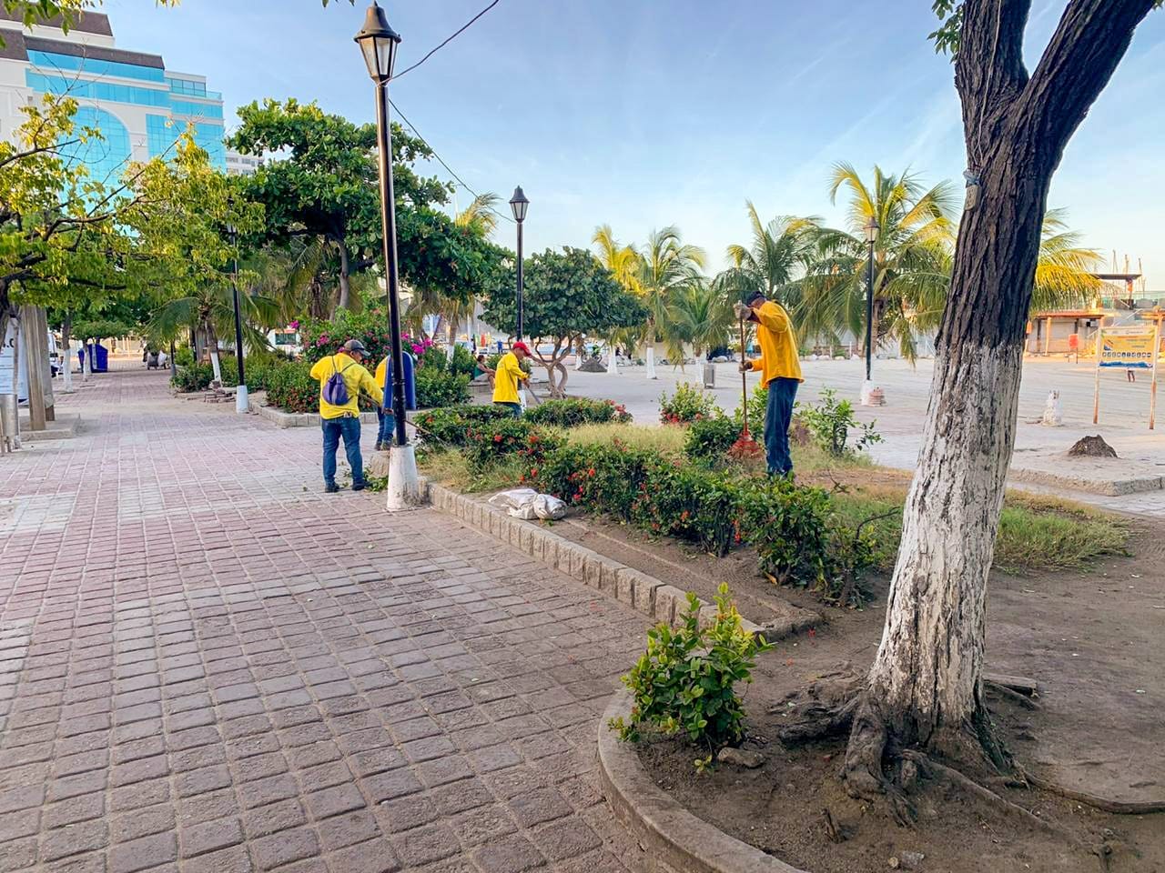 Limpieza de los jardines del camellón Rodrigo de Bastidas