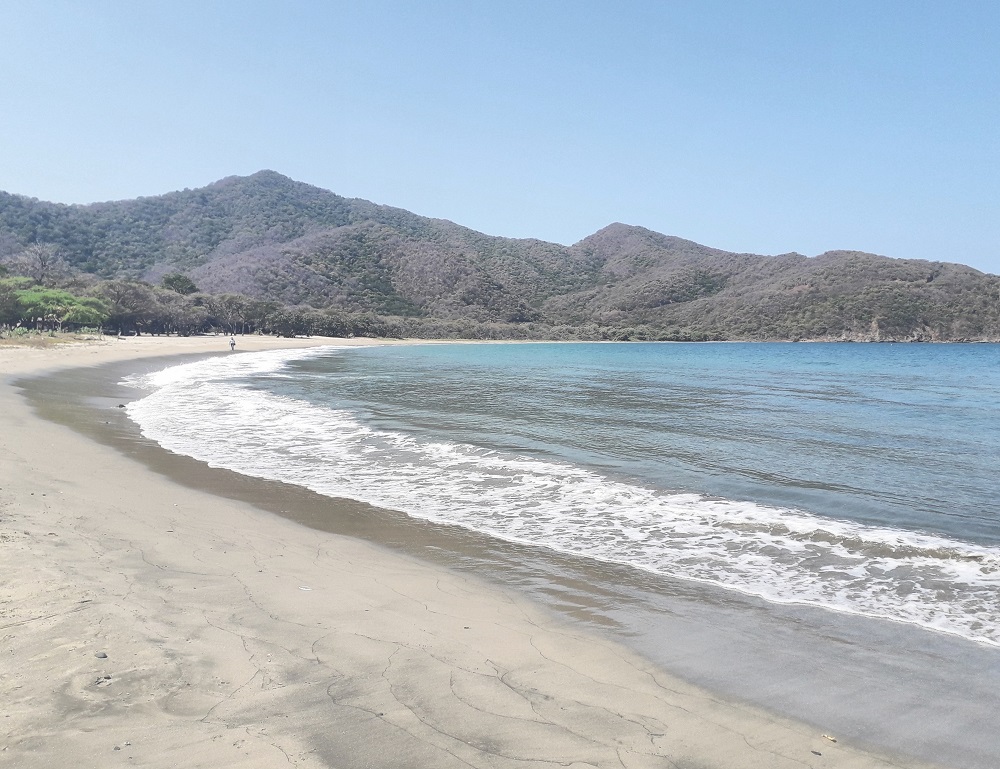 Jornada de limpieza de playas durante el cierre del Parque