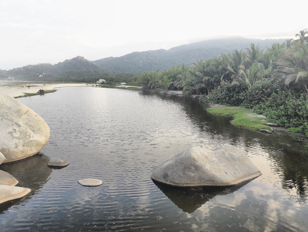 Limpieza durante el cierre del Tayrona