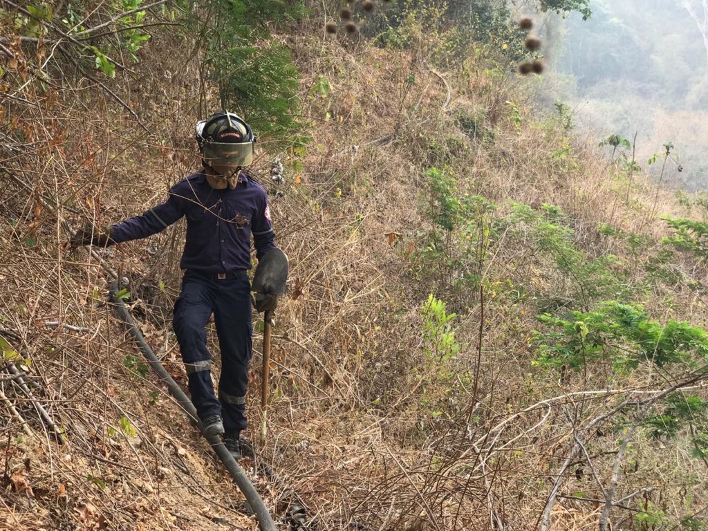 Los bomberos y la comunidad están trabajando con herramientas manuales. 