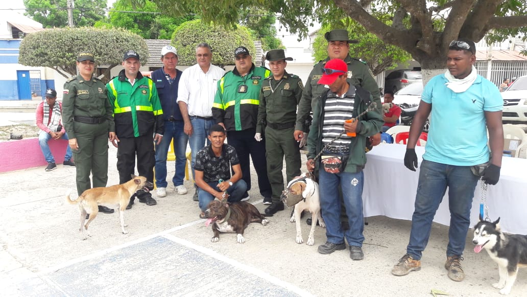 Jornada de atención a caninos.