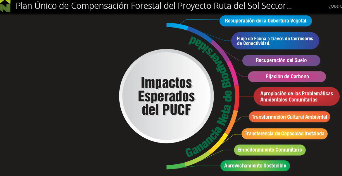 Impactos esperados