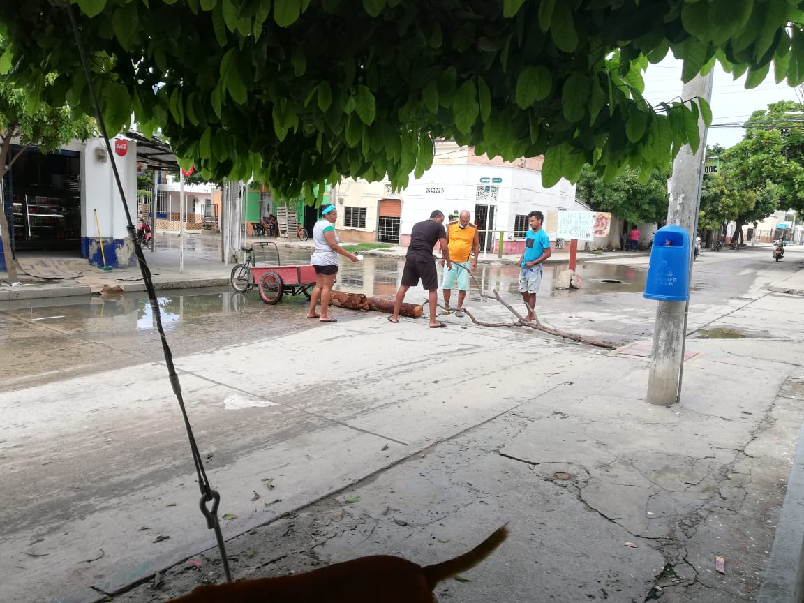 Algunos residentes atravesaron troncos para cerrar la vía en Pescaíto.