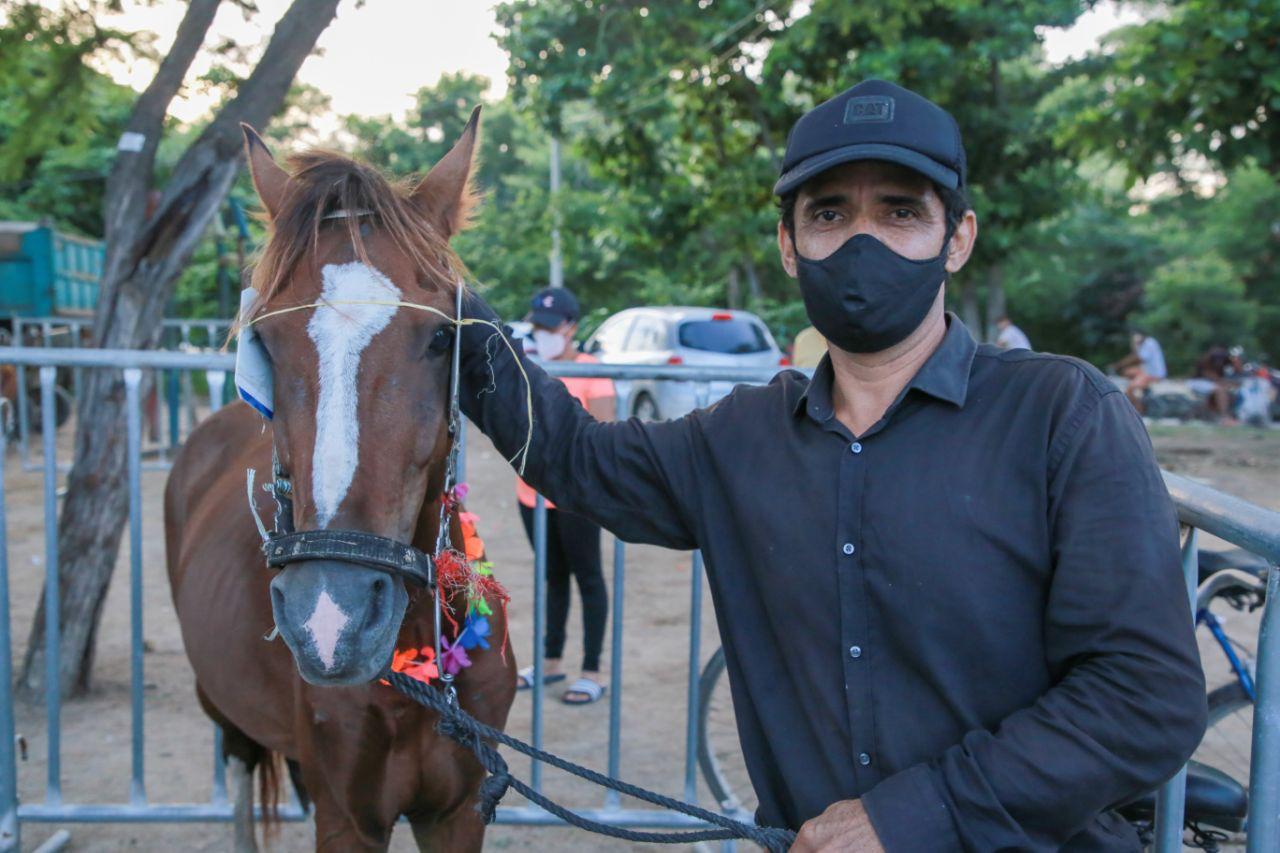 Caballo que será recibido en adopción.