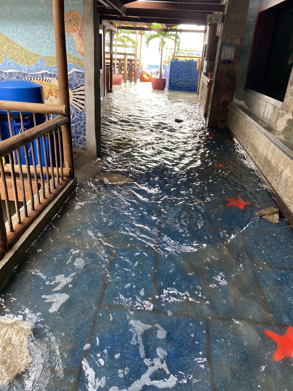 Inundaciones en el Acuario.