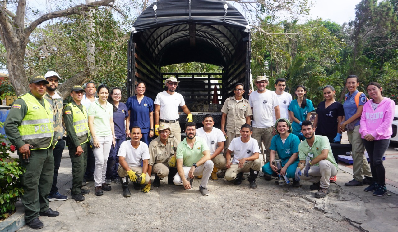 Equipo que rescató al caimán aguja.