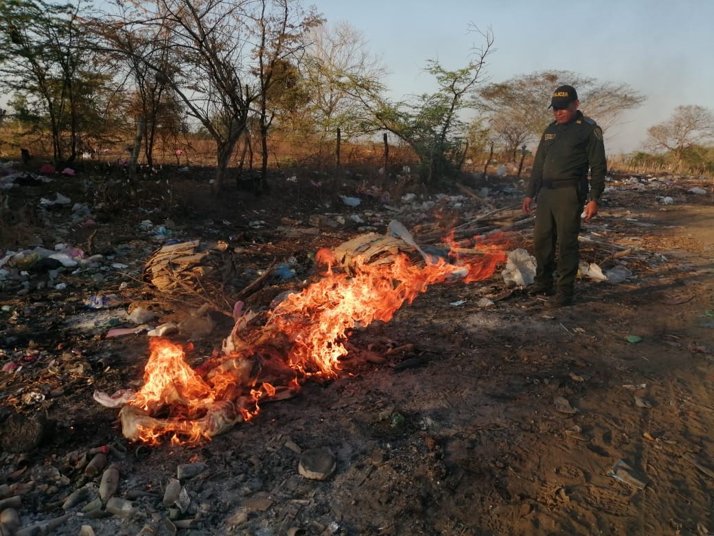 La carne no estaba apta para el consumo humano y fue destruida.