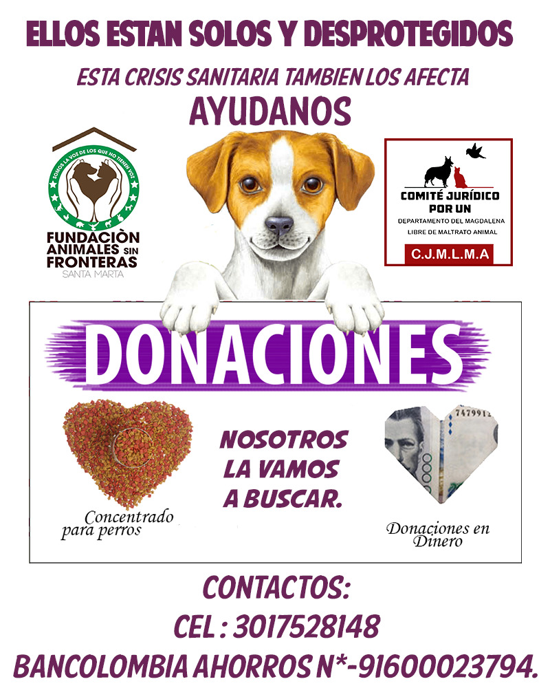 Campaña para ayudar a los animales de calle en Santa Marta.