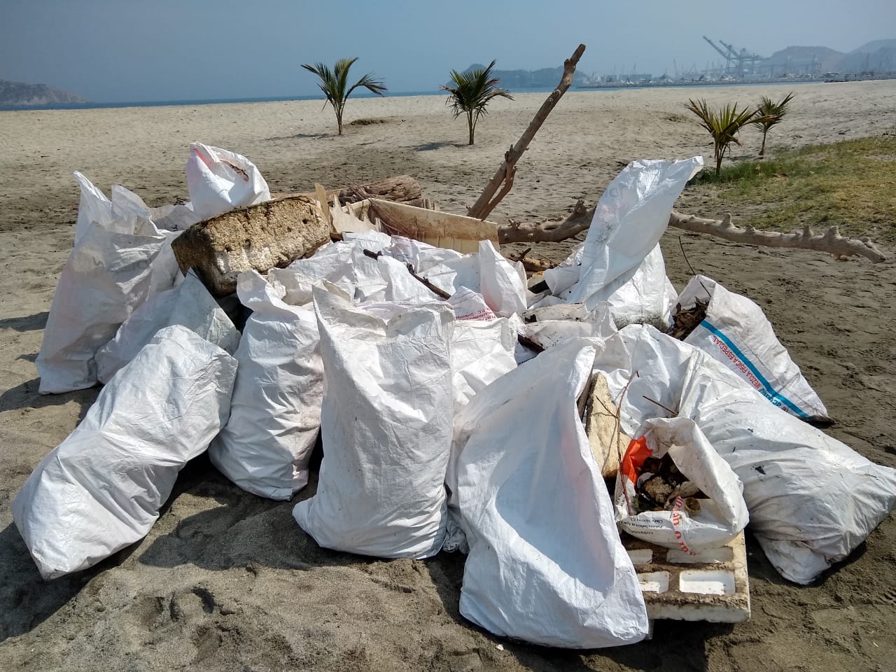 Parte de la basura recolectada.