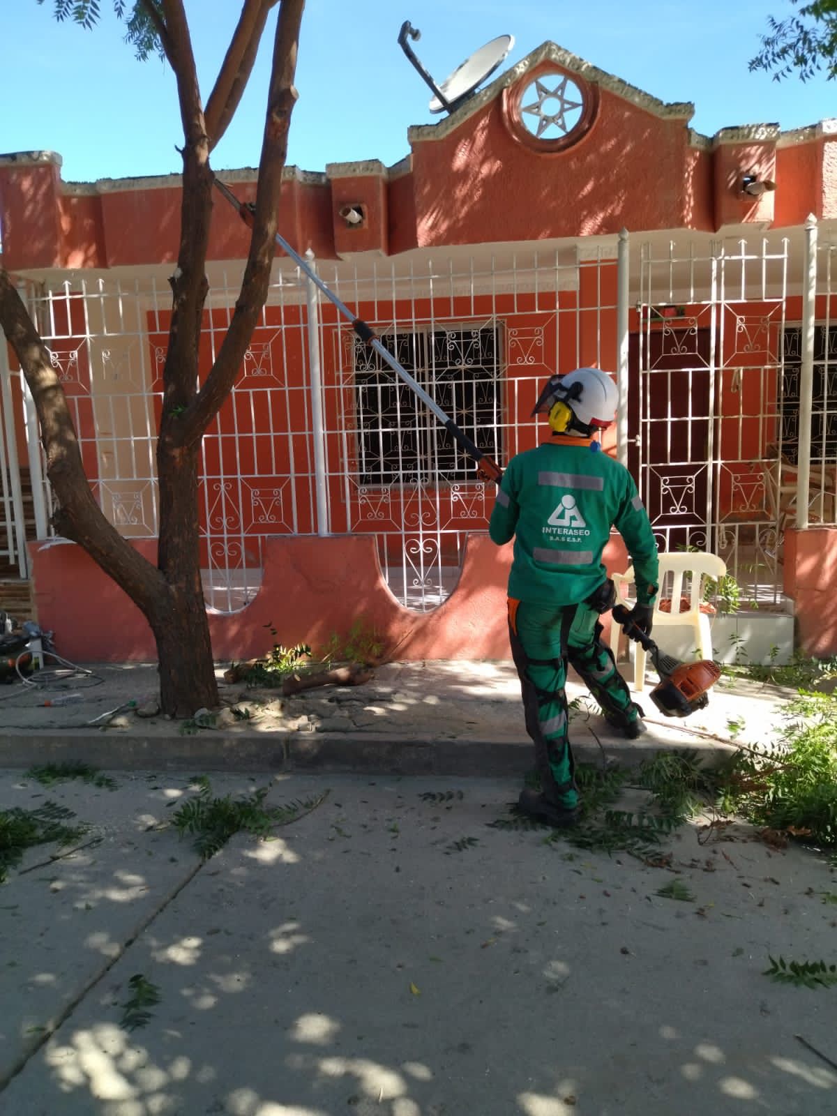 También hubo poda de árboles en el barrio El Pando.