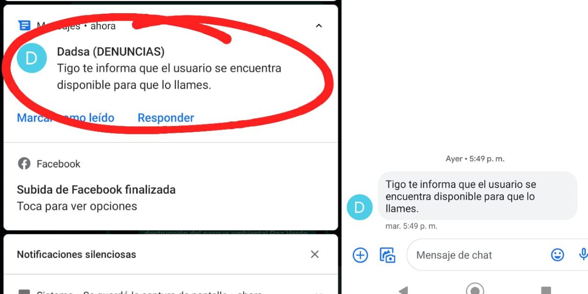 Minutos después de la llamada con la directora, habrían prendido la línea de denuncias.