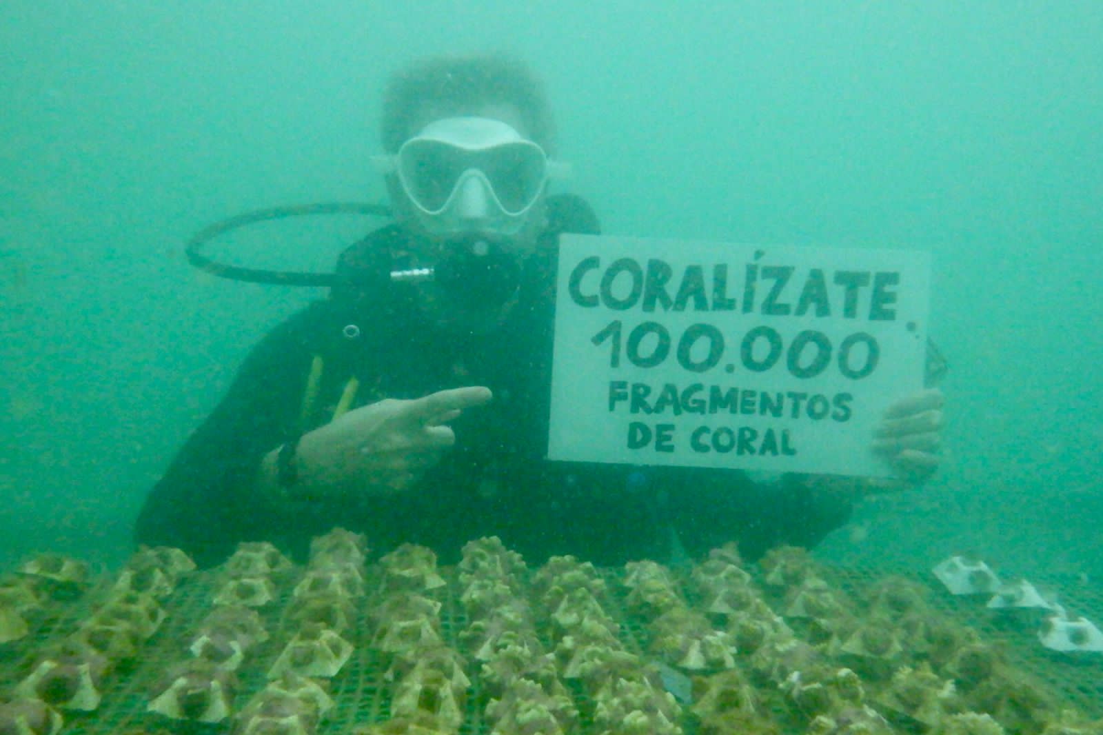 Ministro en la guardería de corales