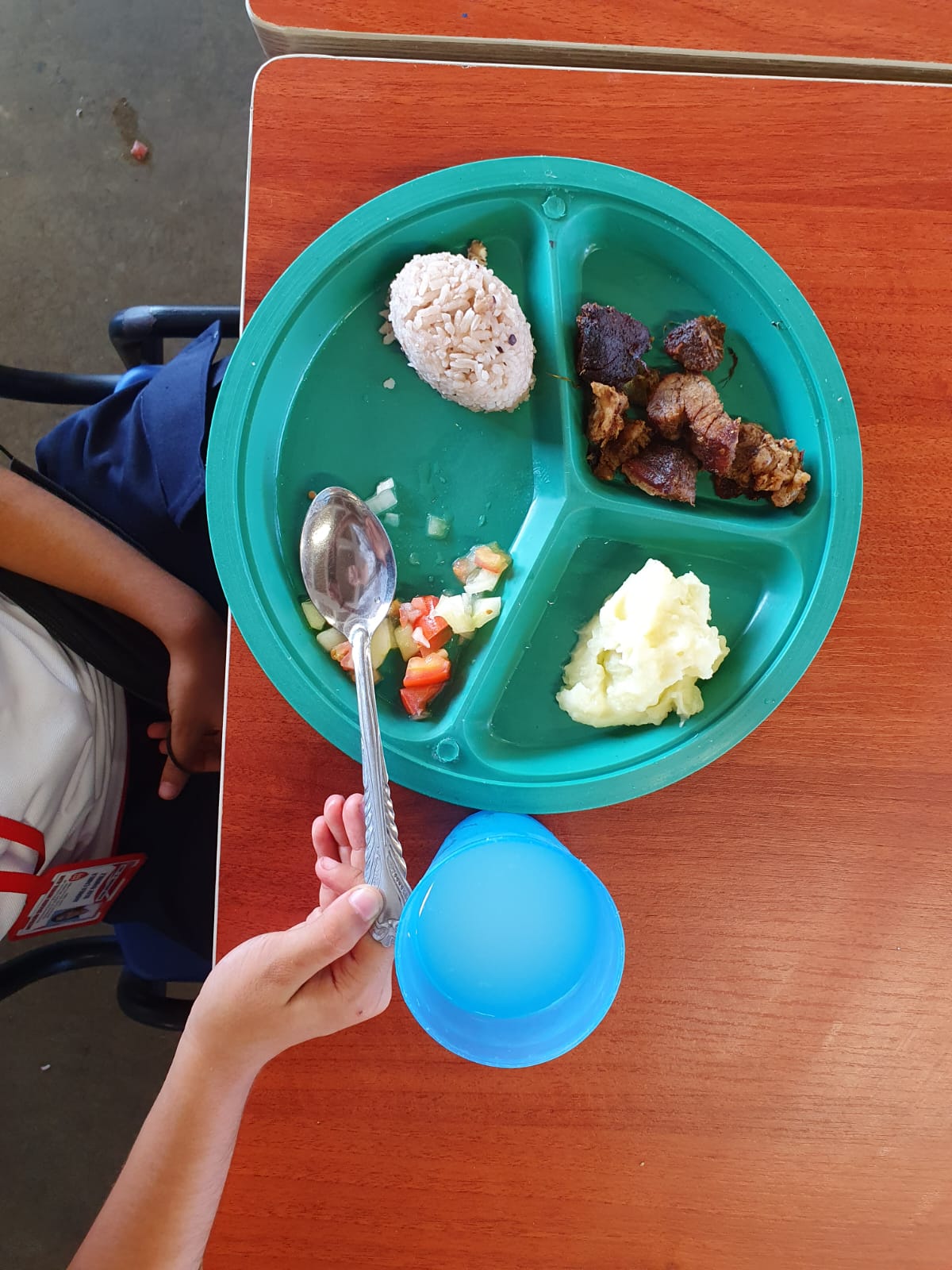 Entrega de los alimentos en los colegios públicos.