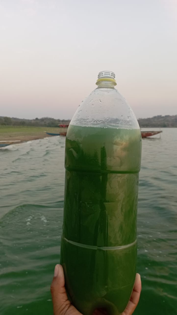 Agua en la Ciénaga de Zárate