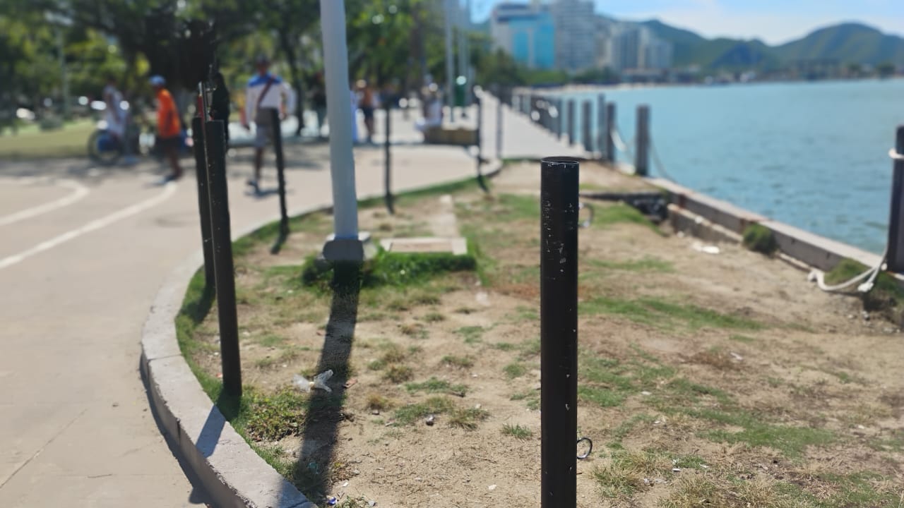 Camellón de la Bahía