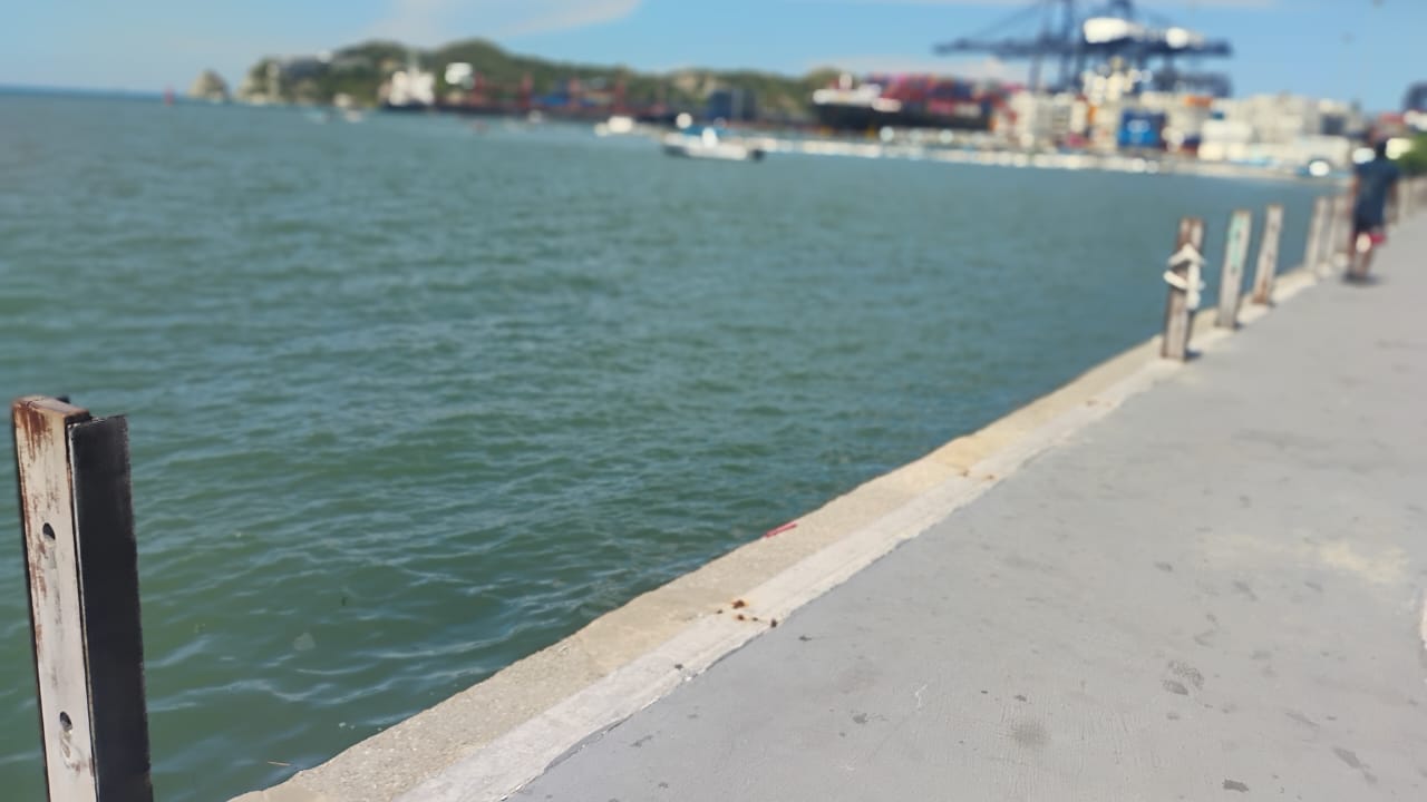 Camellón de la Bahía