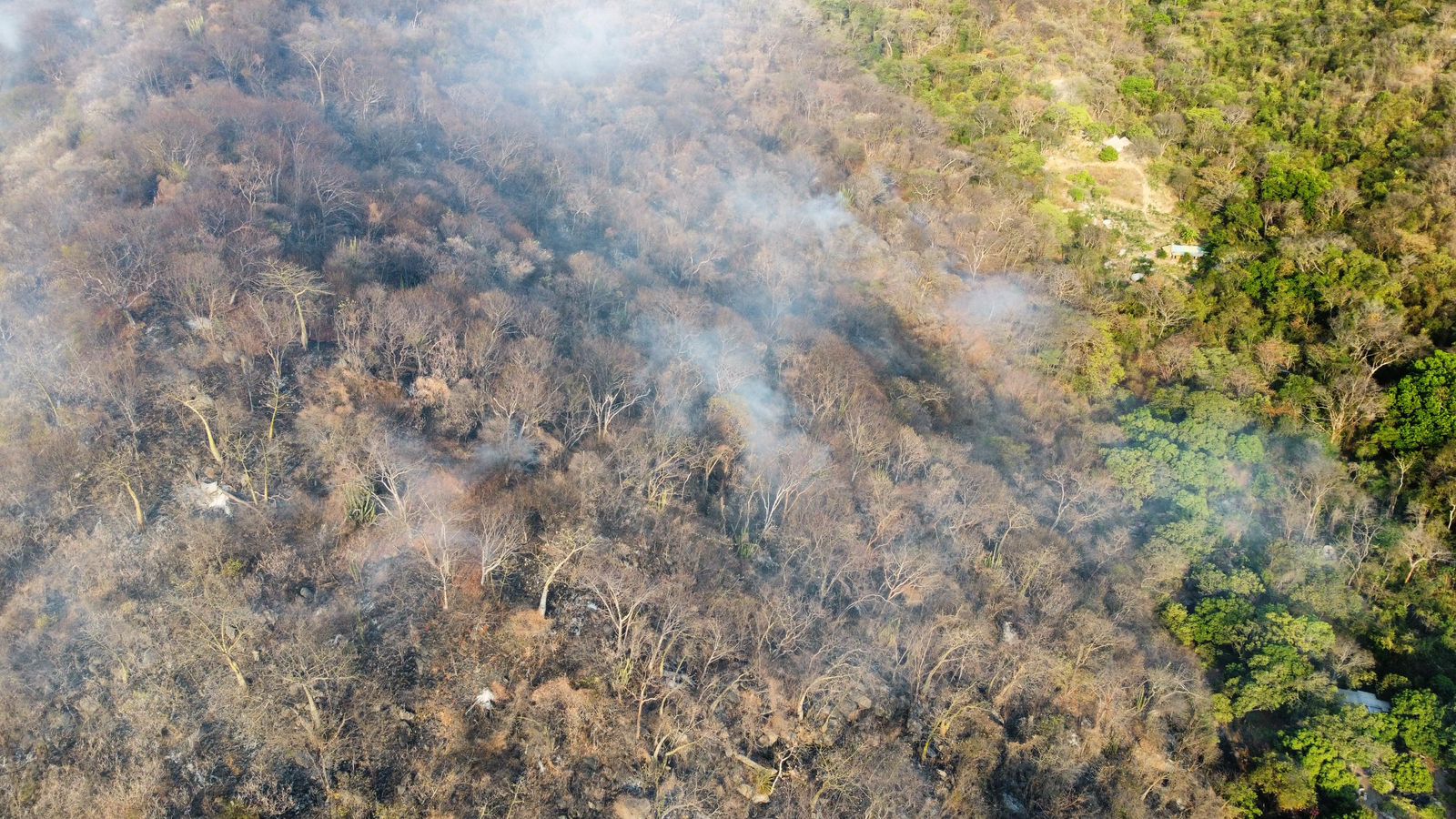 Incendio forestal en la vereda El Limón.