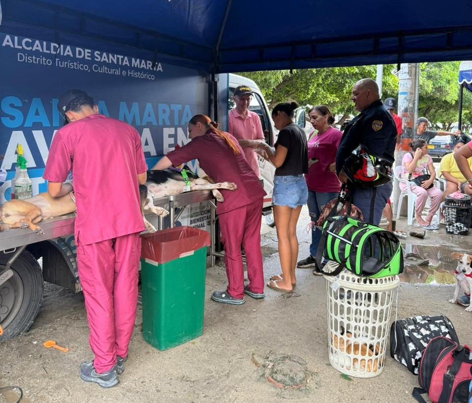 Esterilizaciones masivas.