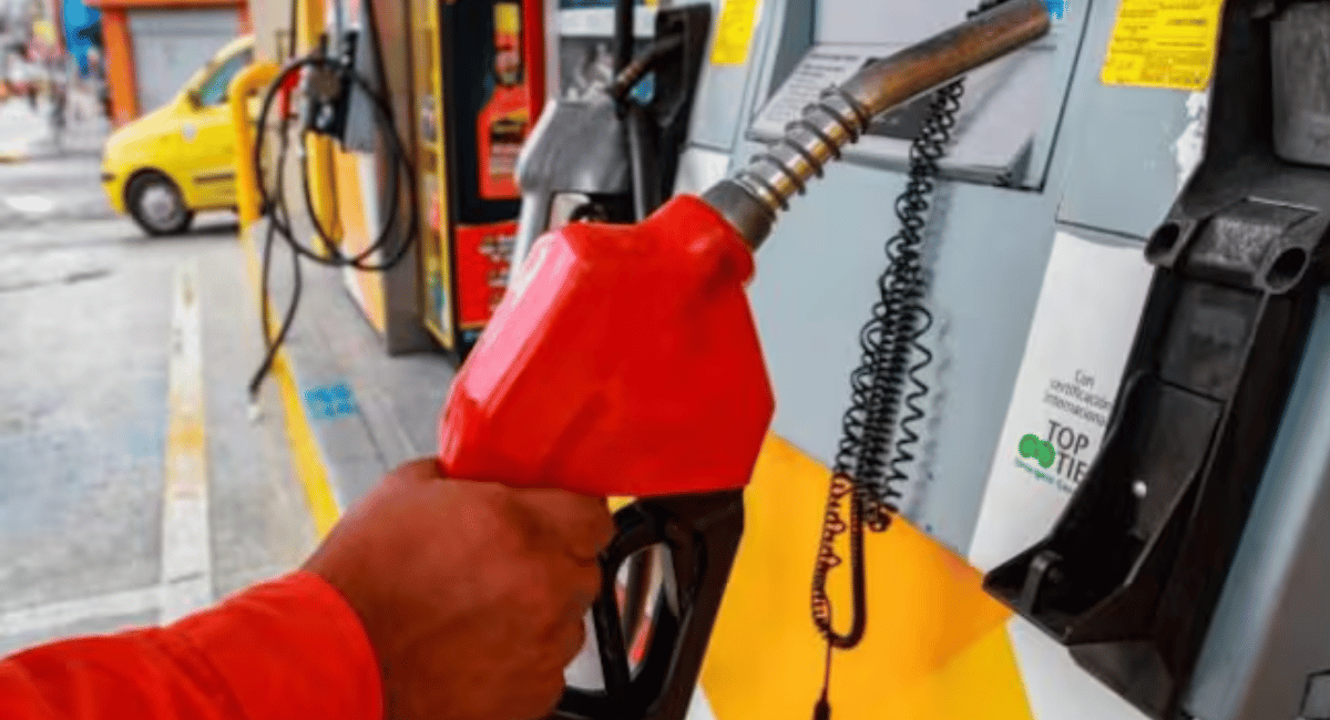 Gobierno anuncia primera baja en el precio de la gasolina: $300 menos desde  febrero