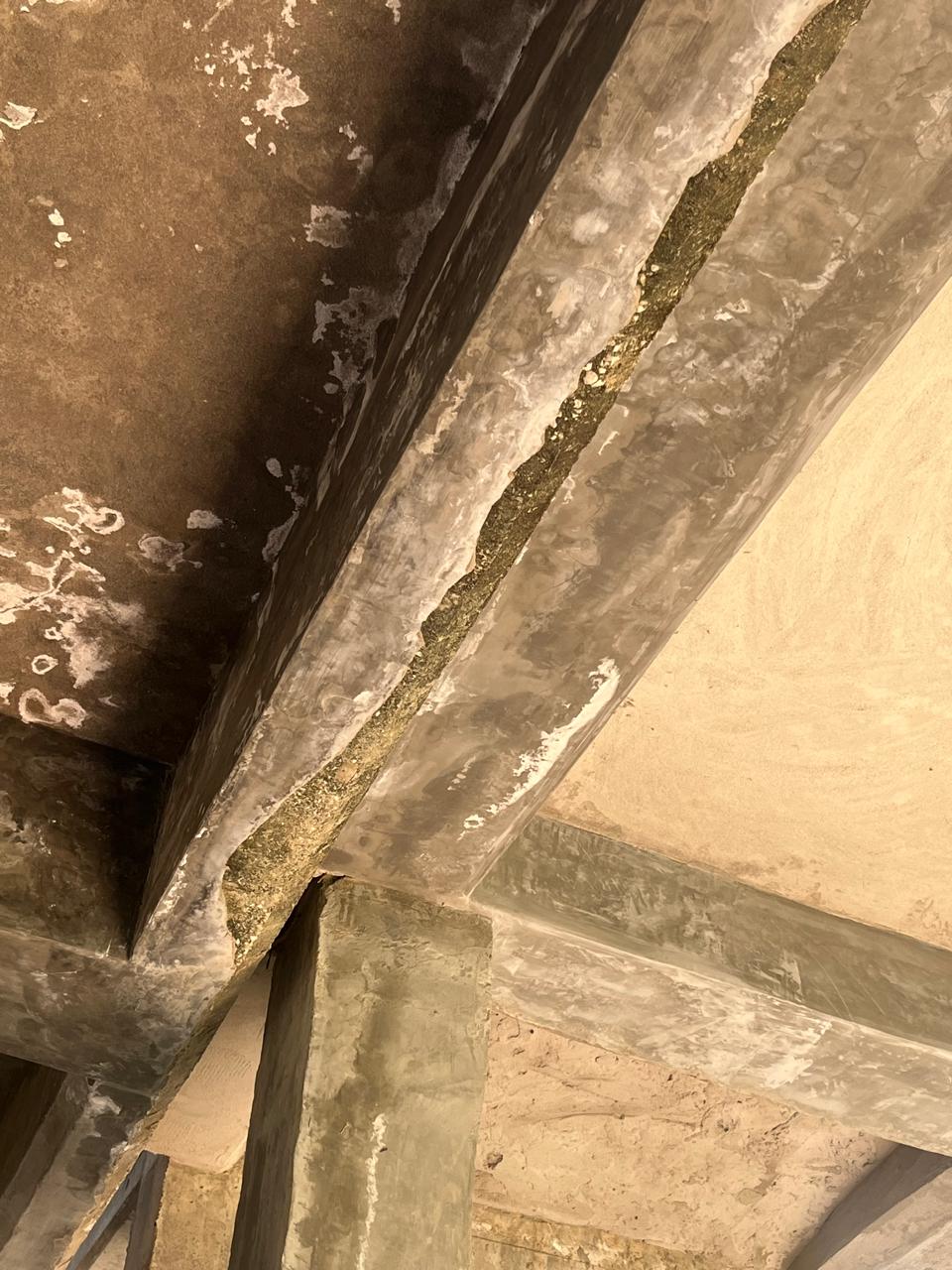 Paralelos entre las partes intervenidas y las reales.