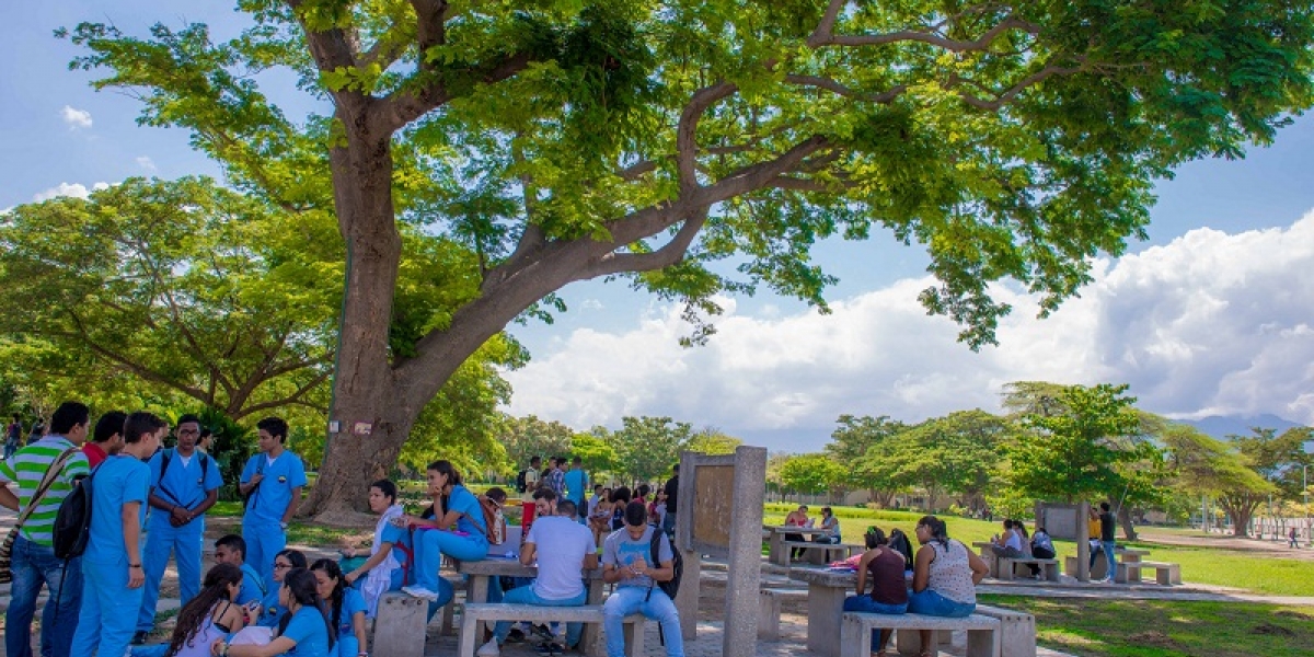 Universidad del Magdalena El Programa Talento Magdalena ha causado mayor aceptación, agrado y gran expectativa, en los estudiantes de diferentes programas académicos de la institución.