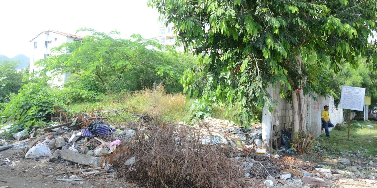 Más de 100 lotes han sido identificados en Santa Marta.