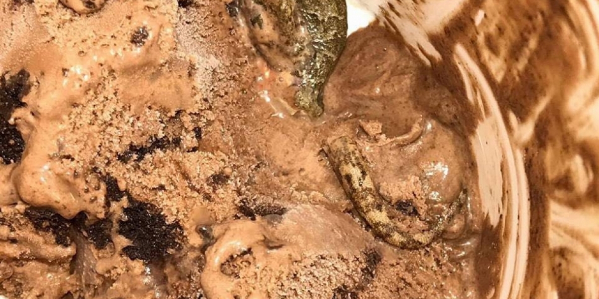 Zonacero.com El helado con el reptil.