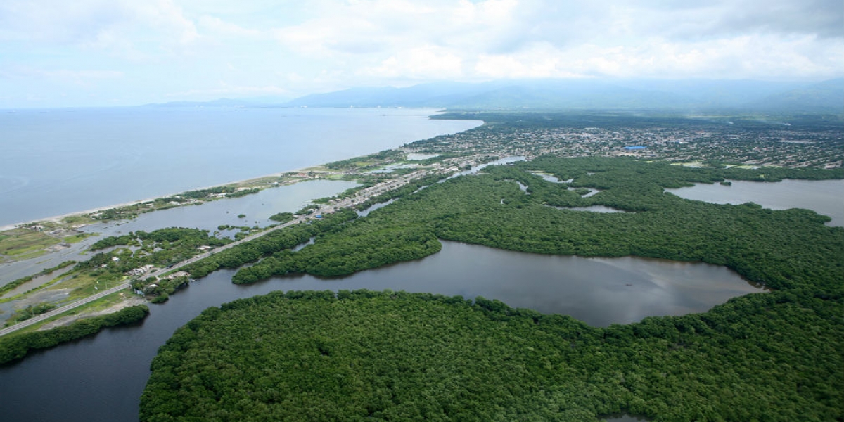 Archivo Ciénaga Grande
