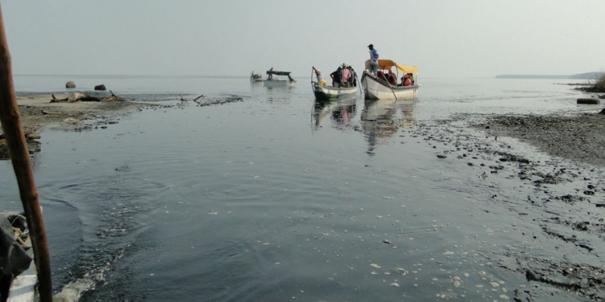Ciénaga Grande de Santa Marta.