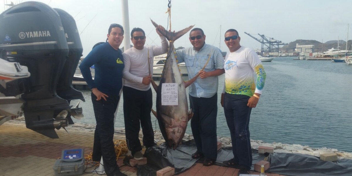 Concursantes de la lancha Sibaris presentaron el atún de 167 libras, el más grande capturado en el concurso.