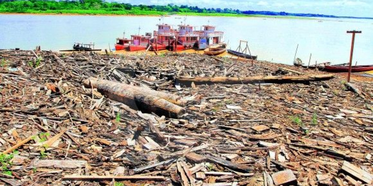 La selva talada está generando consecuencias ambientales, sobre todo en precipitaciones.