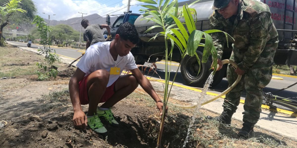 Fueron sembrados ceibas, robles, guayacanes, carretos y 30 palmeras.