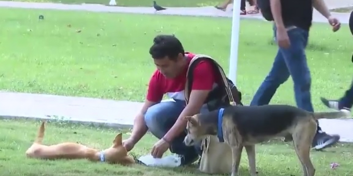 Miembro de los Guardianes Caninos alimentando a uno de las mascotas de la Universidad.