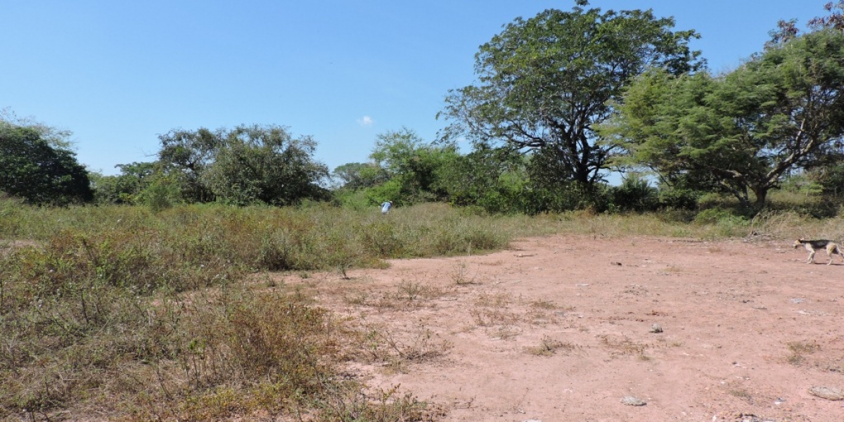 Archivo Este es el terreno donde se construiría la sede sur de Unimagdalena en El Banco.