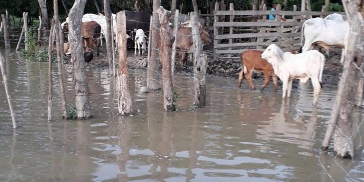 Aspecto de las inundaciones en San Marcos (Sucre).