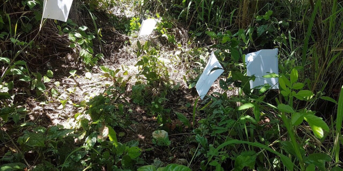 Los artefactos explosivos de alto poder fueron encontrados en la vereda Mochila Baja, municipio de Chiriguaná. 
