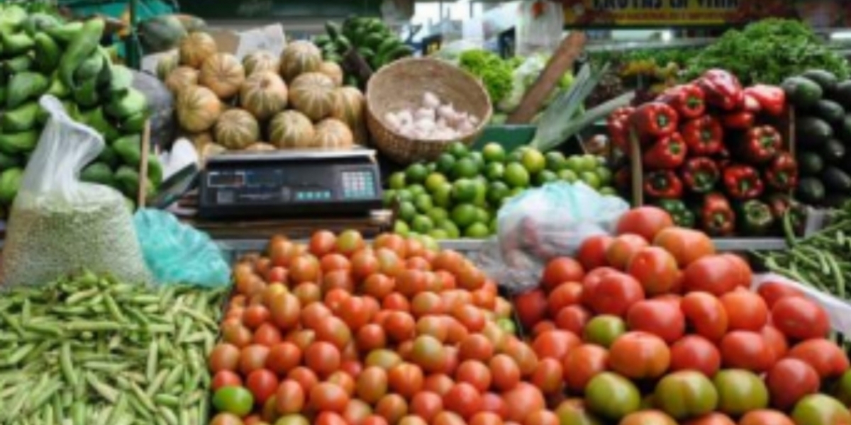 Zonacero.com Para las autoridades económicas el comportamiento de la canasta familiar fue favorable.