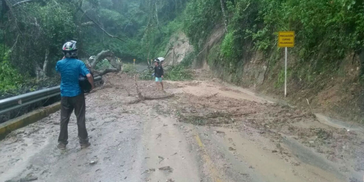 Cerrada la vía a Minca por árboles caídos y lodo sobre la carretera. 